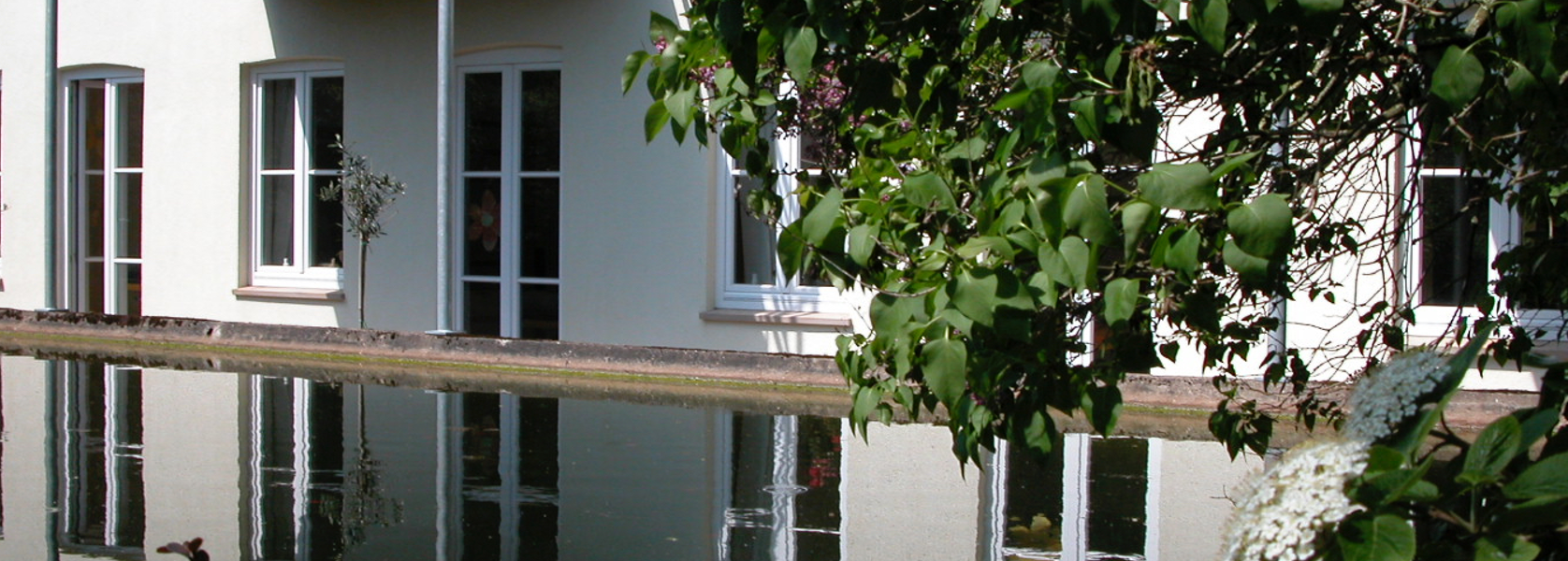 Bild2
